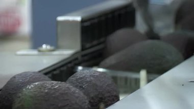 Avokado tepsileri ambalaj kuyruğunda