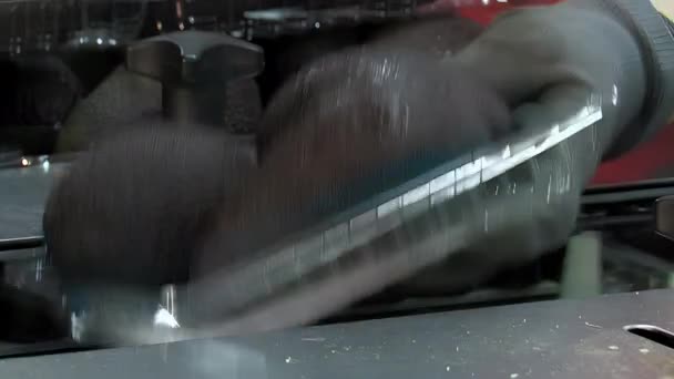 パッケージングラインに熟したアボカドのトレイを配置する労働者 — ストック動画