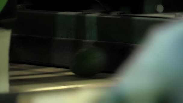 Хасс Авокадо Промышленной Транспортерной Ленте — стоковое видео