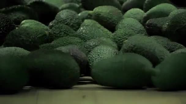 Avokadolar Endüstriyel Bir Ambalaj Noktasına Geliyor — Stok video