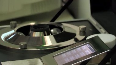 Endüstriyel bir makineyle mango meyvesinde kalite testi