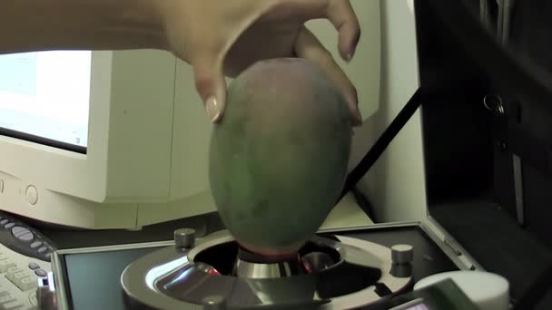 Mangoda Kalite Testi Işınlarla Çalışan Bir Endüstriyel Makine — Stok video