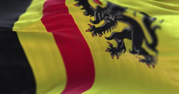 比利时和佛兰德的国旗飘扬着 — 图库视频影像