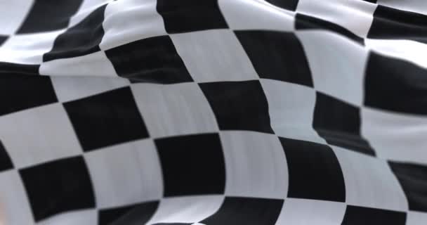 Bandera Fórmula Fórmula Ondeando Viento Bucle — Vídeos de Stock