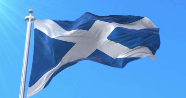 Bandera Escocesa Ondeando Bucle — Vídeo de stock