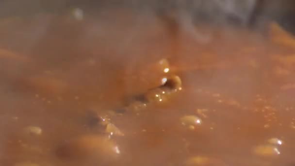 Estofado Ternera Tomate Burbujeando Una Olla — Vídeo de stock
