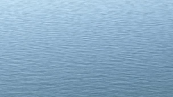 Schöne Blaue Wellen Einer Ruhigen See — Stockvideo