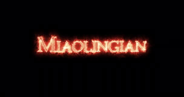 Miaolingianin Napisany Ogniem Pętla — Wideo stockowe