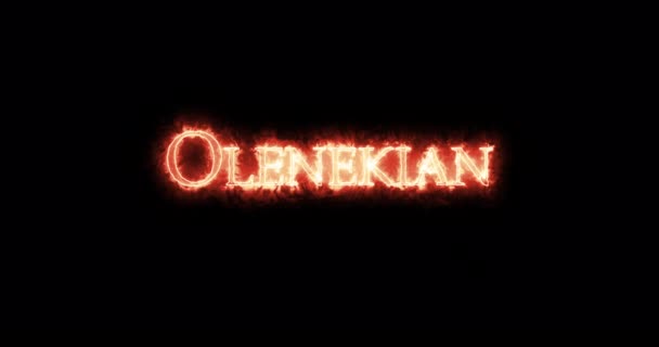 Olenekian Geschreven Met Vuur Lijn — Stockvideo