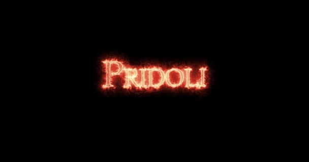 Pridoli Geschreven Met Vuur Lijn — Stockvideo
