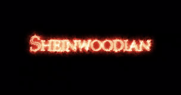 Sheinwoodian Napsaný Ohněm Smyčka — Stock video