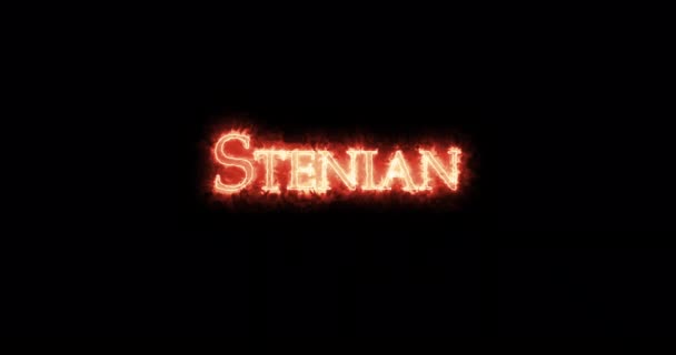 Stenian Ateşle Yazılmış Döngü — Stok video
