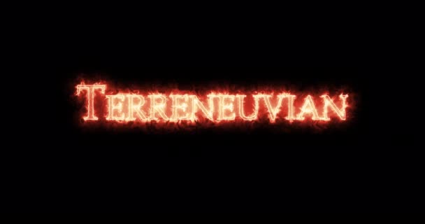 Terreneuvianus Geschreven Met Vuur Lijn — Stockvideo