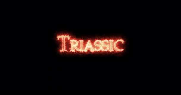 Triassic Written Fire Loop — Stock Video