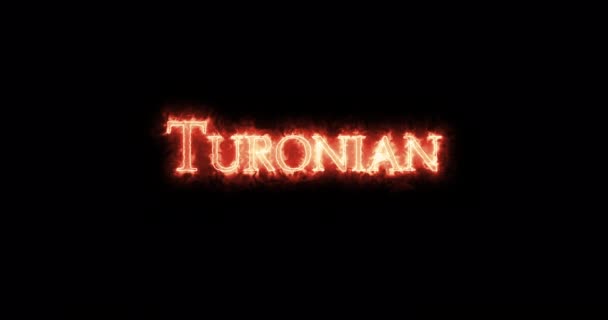 Turonian Written Fire Loop — Stock Video