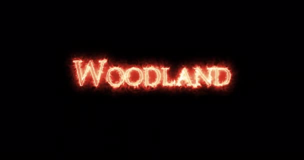 Woodland Written Fire Loop — Stock Video