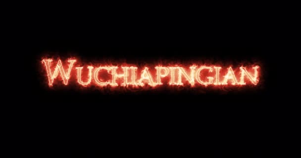 Wuchiapengialainen Tulessa Kirjoitettuna Silmukka — kuvapankkivideo