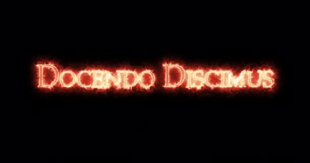 Docendo Discimus Geschreven Met Vuur Lijn — Stockvideo