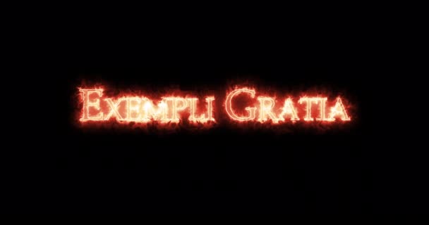 火で書かれたエクスペリ グラティア ループ — ストック動画