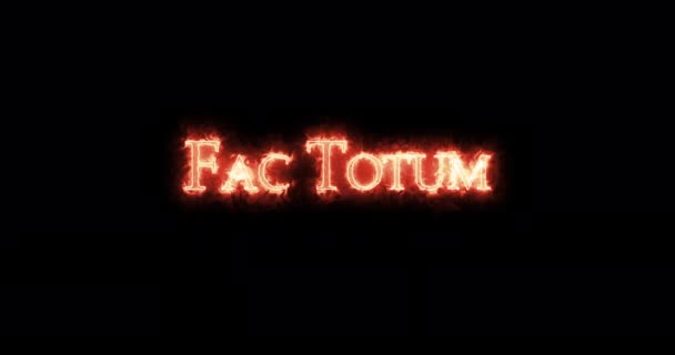 Fac Totum Written Fire Loop — Stock Video