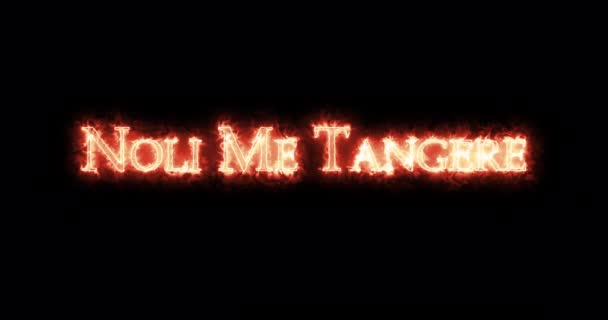 Mężczyźni Noli Tangere Nie Dotykaj Mnie Napisane Ogniem Pętla — Wideo stockowe