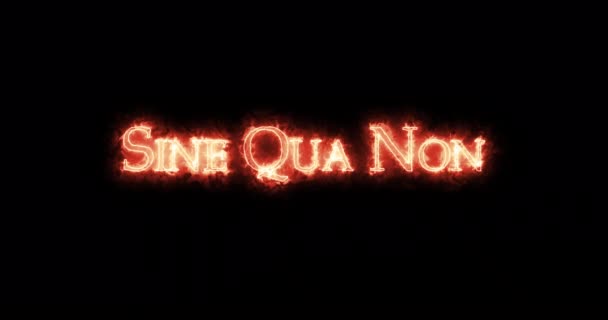Sine Qua Non Bez Kterého Napsaný Ohněm Smyčka — Stock video