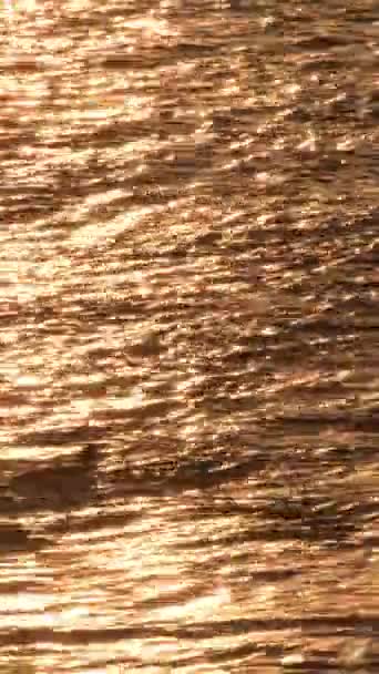 Goldene Wellen Bei Sonnenuntergang Einem Felsigen Strand Vertikal — Stockvideo