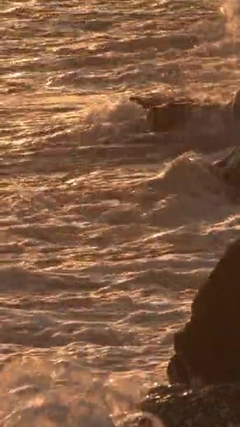 Goldene Wellen Erreichen Einen Felsigen Strand Vertikal — Stockvideo