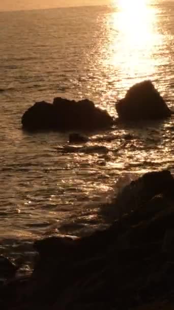 Felsen Ufer Bei Sonnenuntergang Vertikal — Stockvideo