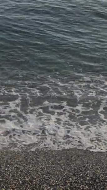 Calm Sea Shore Vertical — Stock Video