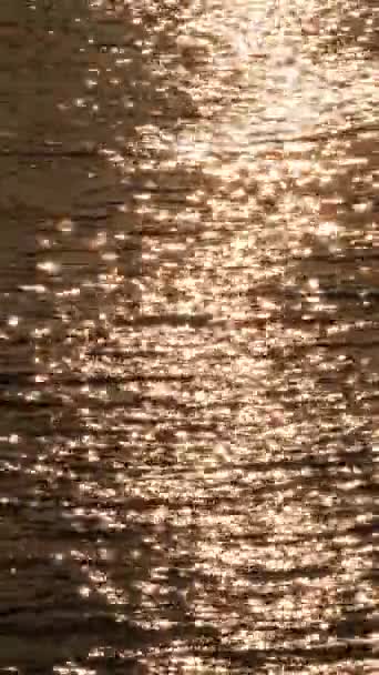 Złote Fale Morza Zachodzie Słońca Pionowe — Wideo stockowe
