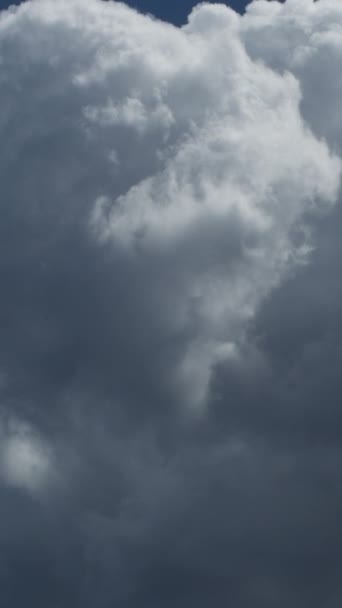 云彩在蓝天中飘扬 时间流逝 4K垂直 — 图库视频影像