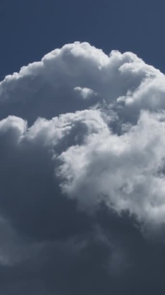 Nori Albi Mișcare Timpul Lapse Vertical — Videoclip de stoc