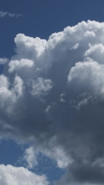 White Clouds Moving Sky Time Lapse Vertical — Stock Video