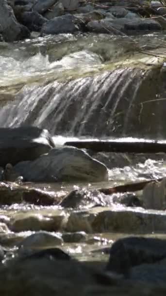 小河山水流淌 4K垂直 — 图库视频影像