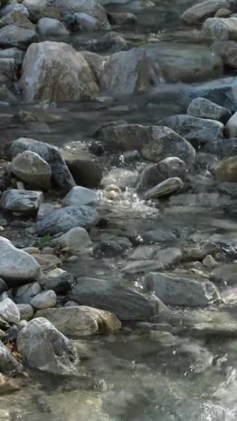 河水流过石子和卵石 4K垂直 — 图库视频影像
