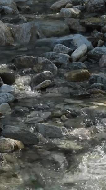 水流过石头 4K垂直 — 图库视频影像