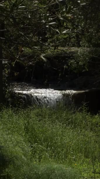 山河在小瀑布中奔流 4K垂直 — 图库视频影像