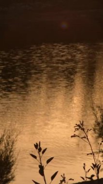 Nehirde gün batımı. 4K Dikey