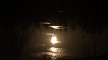 Gün batımında güneş bir nehirde yansıyor.