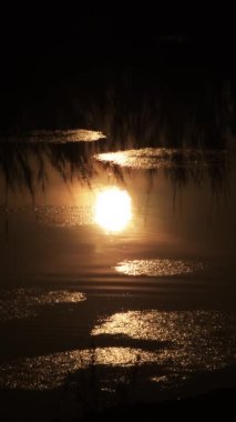 Gün batımında yansıyan güneşli bir nehrin yüzeyi