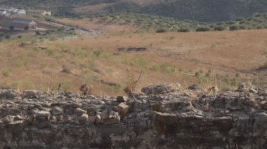 Günbatımında bir kalenin duvarında dinleniyor, Alcaucin, İspanya