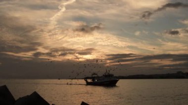 Limanda gün batımı, etrafında martılarla balıkçı gemisi var. Caleta de Velez, İspanya