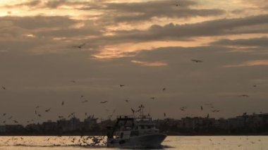 Balıkçı gemisi gün batımında limana gidiyor. Caleta de Velez, İspanya