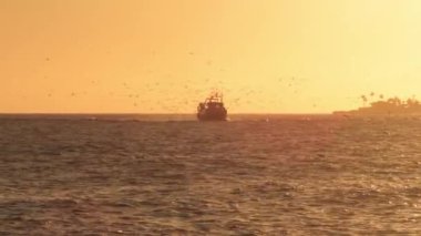Balıkçı gemisi gün batımında limana gidiyor. Caleta de Velez, İspanya