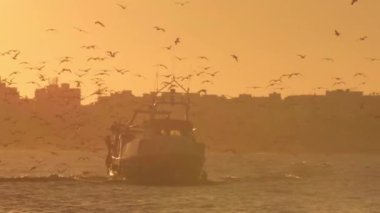 Gün batımında balıkçı gemisi ve limana giden martılar.