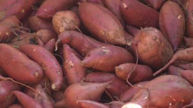 Tatlı patatesler endüstriyel olarak temizlendi ve yeni hasat edildi.
