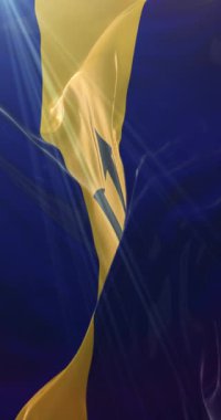 Barbados bayrağı. 4K dikey. Döngü