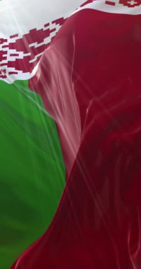 Beyaz Rusya bayrağı. Döngü. 4K Dikey