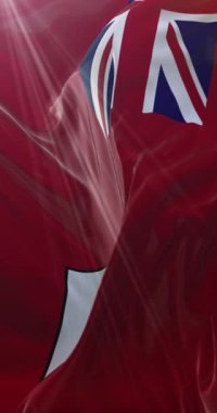 Bermuda bayrağı. Döngü. 4K Dikey